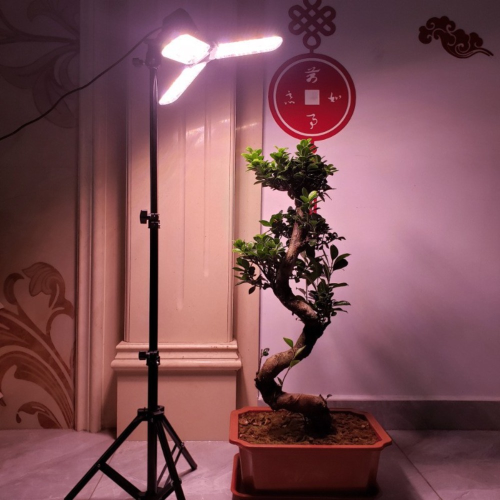 حامل لمبة الضوء 2 متر، مقبس تي - مراجعة Photography Lighting For Studio وسعره