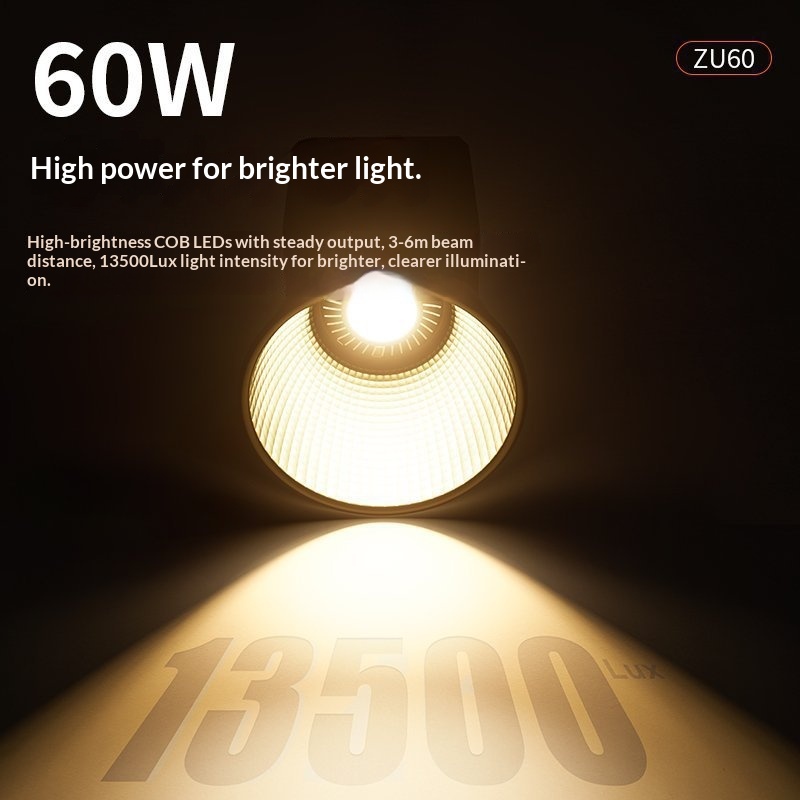 ضوء فيديو LED صغير بقوة 60 واط - مراجعة Photography And Videography Lighting وسعره
