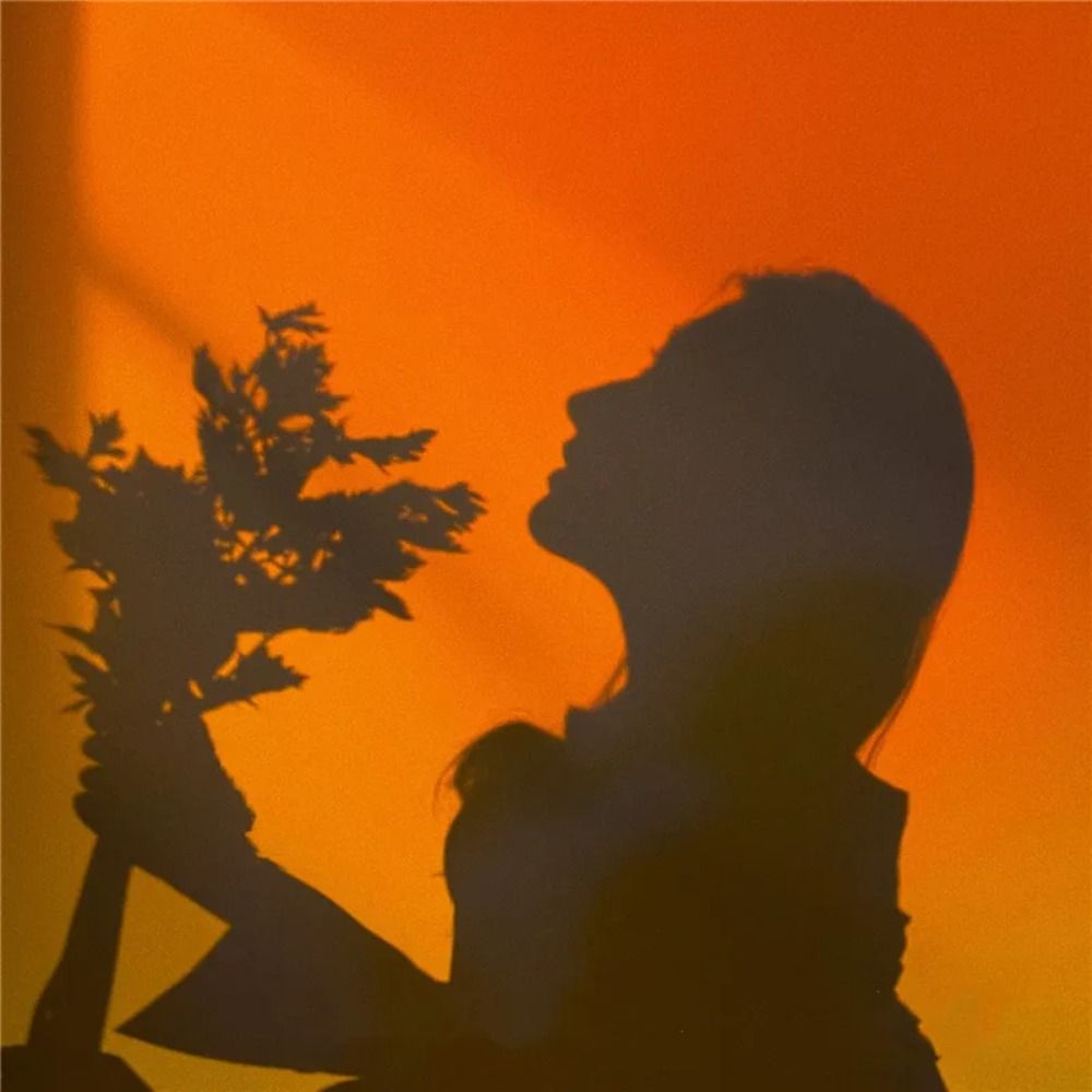 المزاج الإضاءة RGB غروب الشمس  - مراجعة Photography Lighting Mood وسعره